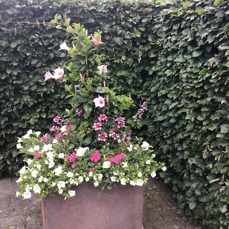 Bed & Breakfast De Veluwe Hoeve *
