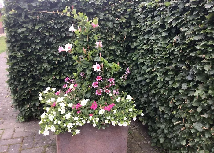 Bed & Breakfast De Veluwe Hoeve 3*